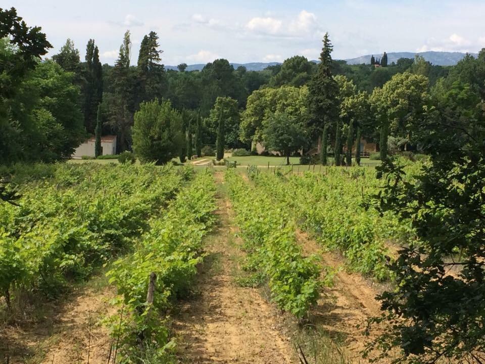Mas Boudeissoun - Grain De Muscat - Baignade A 600 M Villa Mormoiron Екстериор снимка